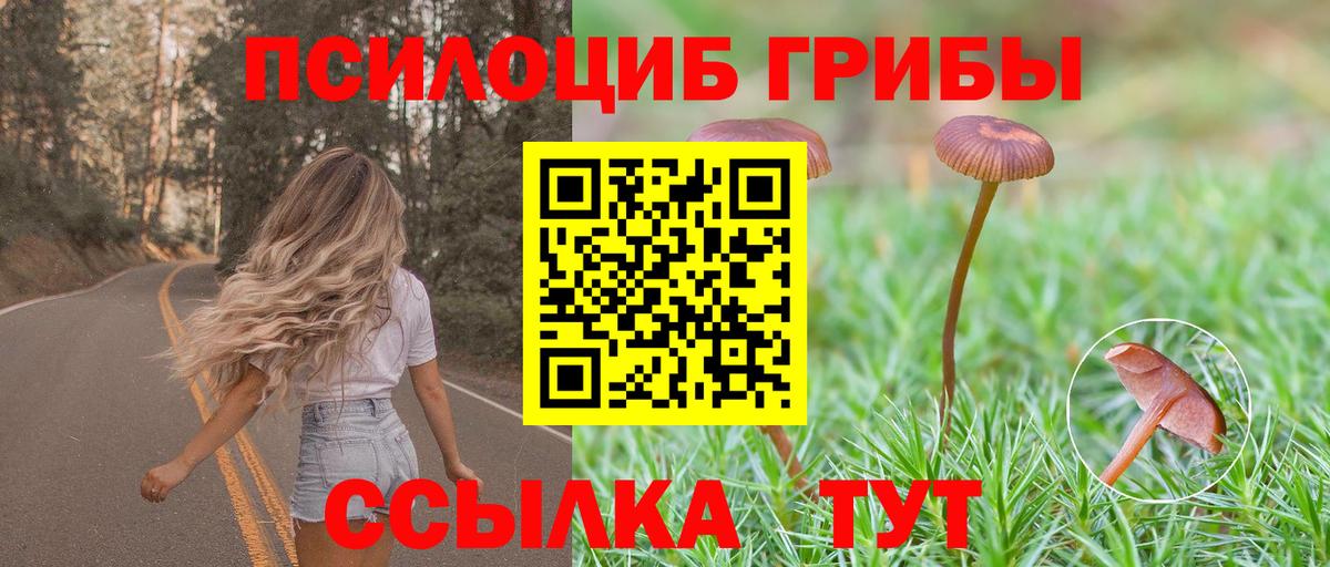 Псилоцибиновые грибы прущие грибы  Вход с VPN  Каменск-Уральский 
