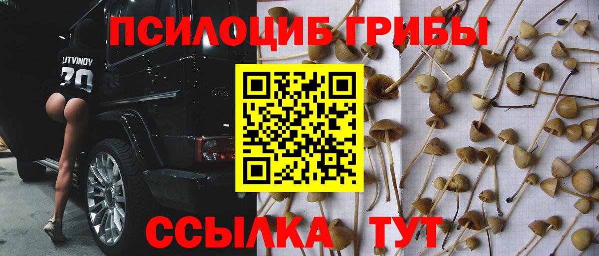 Галлюциногенные грибы GOLDEN TEACHER Каменск-Уральский